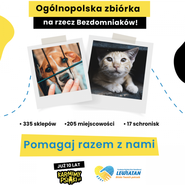 Startuje zbiórka dla bezdomnych zwierząt organizowana przez akcję Karmimy Psiaki we współpracy z Fundacją Blisko Twoich potrzeb